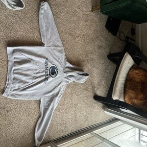 Fanatics Gray Hoodie with Penn State Logo